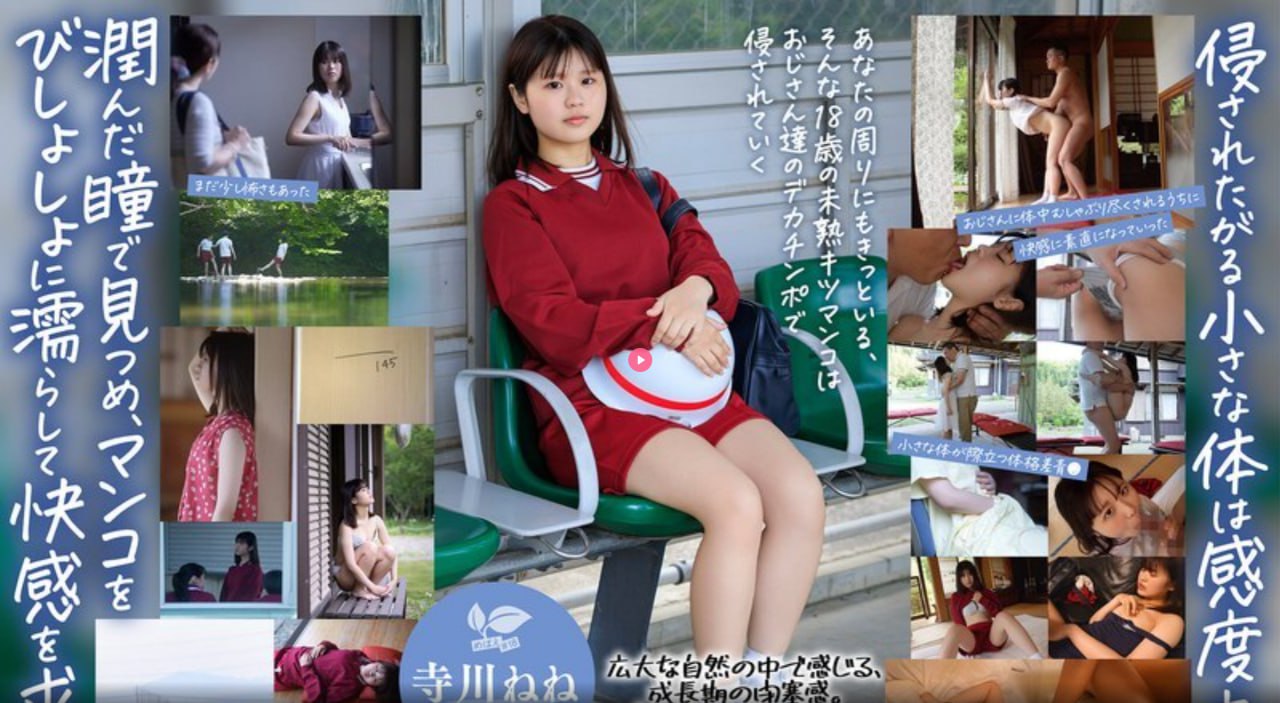 WWW.11SSS,详解功能优势,探讨应用前景,解析使用方法【哔哩哔哩...高清在线观看